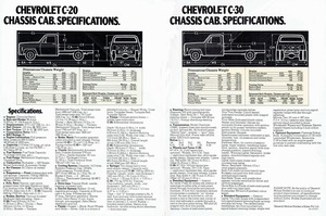 1978 Chevrolet Light Trucks (Aus)-10-11.jpg